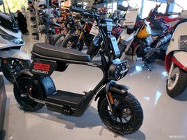 Coopop Rugged 2975274