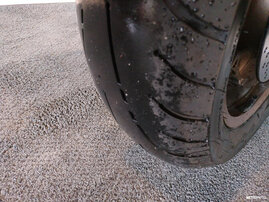 Moottoripyörä Honda Rebel 2024 25955937