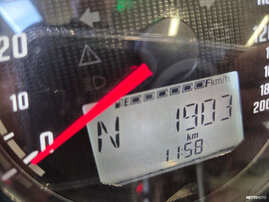 Moottoripyörä Indian Scout 2025 26286515