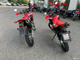 Moottoripyörä Honda CRF 2024 26459860