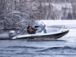 Silver Beaver BR 789267