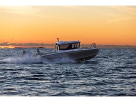 Silver Condor 990480