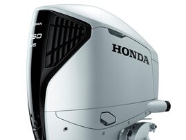 26YM BF 250 DK1 MEC NHB14 aws 01